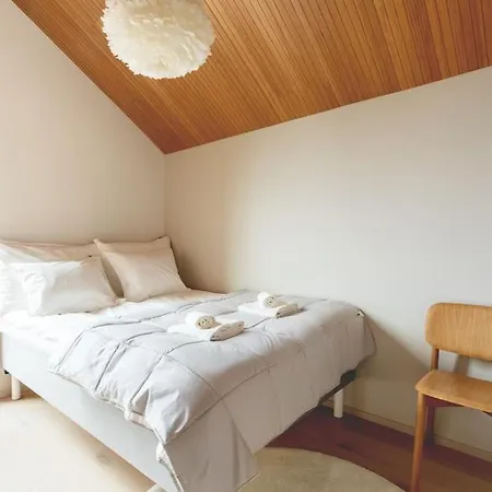 North - Joiku - Winter Pines