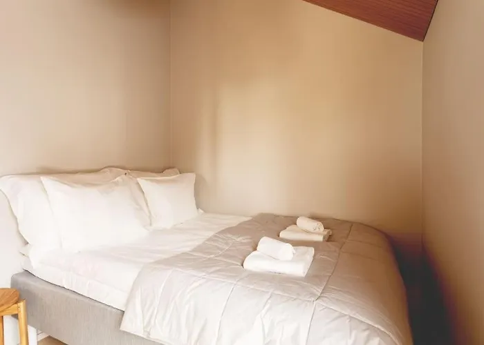 North - Joiku - Winter Pines *