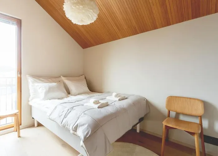 North - Joiku - Winter Pines